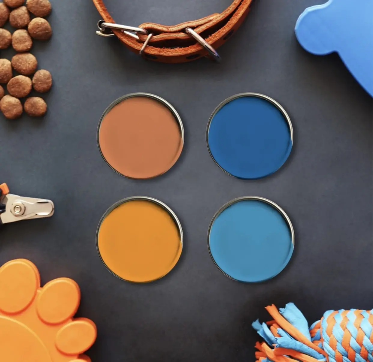 The Psychology of Colour: Choosing a Paint Colour