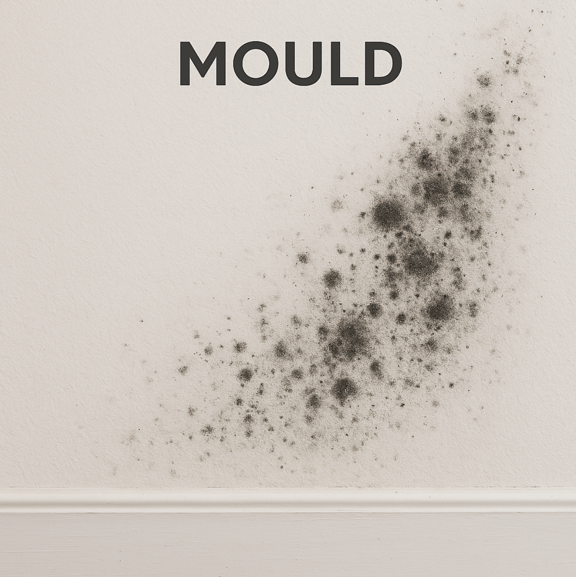 Mould Growth